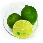 생 라임 1개(약80g) : 싱싱채소 그린팜