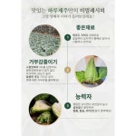 [하루제주] 순수 고깔 양배추즙 NFC 저온착즙 양배추주스 고깔양배추 꼬깔양배추 80ml 30개 60개 : 물읽남-물건 읽어주는 남자