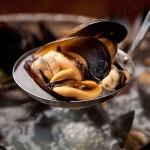 담치 섭 홍합 제철 손질홍합 제철 큰 3kg 5kg : 창원진동농협