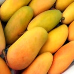 항공직송 태국 마하차녹 무지개망고 4kg(8-12과) : 엘로컴