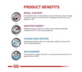 로얄캐닌 캣 레날+하이포알러제닉 2kg : 진주동물병원