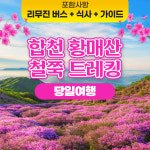 합천 황매산 철쭉 봄꽃 서울 출발 당일 리무진 버스 여행 : 승우여행사