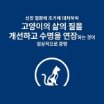 (CAT) 힐스 고양이 kd k/d 얼리 early support 1.81kg : 조은사료