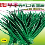 부추 슈퍼그린벨트 씨앗(20g) : 365일 모종마트