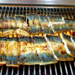 국산 고창 풍천 민물장어 1kg 초벌 자포니카 1종 : 직접 푸드