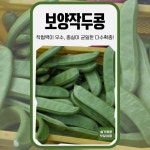 보양작두콩 10립 1봉 KS종묘 주말 농장용 채소 작두콩 : 슬기로운농약사