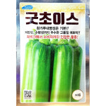 굿초이스호박 50립 흰가루병에 강한 호박 긋초이스애호박씨앗 : 중앙종묘농약사