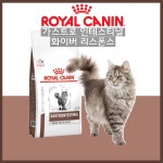 로얄캐닌 캣 가스트로 인테스티널 화이버 리스폰스 : 세온동물병원