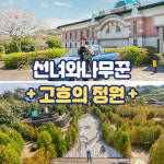 제주 선녀와나무꾼+고흐의정원 / 제주도 여행 가족 관광지 교복체험 팥빙수 : WEPICK