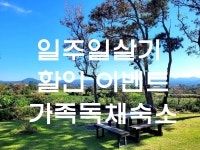 한달살기 숙소 제주도 한달살기 좋은 함덕 펜션 힐링 독채 일주일 살기 한달살이 보름살기 일주일 임대료 할인 이벤트 함덕 조천 : 그린힐민박