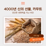 카무트 호라산밀 팝볼 180g 2통 포만감 직장인간식 아침식사대용 : 남양에이치앤비