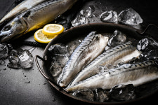 자반고등어 노르웨이 구이 조림용 식당 업소용 고등어 : 숲속고등어