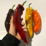트리벨리파프리카 바나나파프리카 롱파프리카 팔레르모 1kg, 1개 : 금성농산