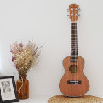 영창 우쿨렐레 GSD-220C 콘서트 입문용 국민 우쿠렐레 풀패키지 : 글로벌뮤직