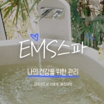 내포신도시 EMS스파 다이어트 통증완화 : 라비유 에스테틱