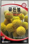 골든볼 씨앗 50립 세계종묘 화훼 꽃씨앗 씨 종자 모종 꽃씨 절화용 썬볼 크라스페디아 : 슬기로운농약사