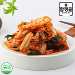 함평골김치 전라도 감칠맛 파김치 500g + 500g 외 당일생산 국내산 재료 : 푸드앰프
