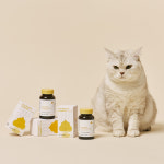 [유비벳] 고양이 유산균 장건강 영양제 푸 디오더 프로바이오틱스 포 캣 30g, 2개 : 유비벳