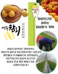 경북 성주 대가농협 참외 : 대가농협 농산물산지유통센터