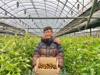 흑대추방울토마토 흑방울토마토 경주 안강 농장직송 3kg 4kg : 과일 충전