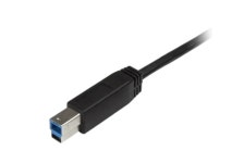 StarTech com 2m USB C to USB B 케이블 M TO M (USB315CB2M) : 무원전자