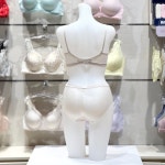 휠라언더웨어 여성 에센셜 베이직 와이어 브라팬티세트 BAHDRH1643FLSA : NC수원터미널 휠라언더웨어