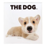 THE DOG 패브릭포스터 : 얼음별통신