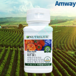 암웨이 비젼헬스 90캡슐 루테인 베타카로틴 뉴트리라이트 (눈 건강에 도움을줄수있음) : 365제로마켓