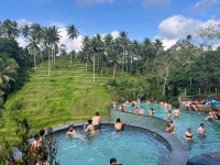 [발리] 체크아웃투어 새벽출발 마지막날 패키지 픽업샌딩 택시투어 남부 우붓 일일 : 사마사마 발리