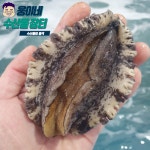 완도 국산 활전복 특대 전복 1kg 6-7미 산지직송 선물세트 : 웅이네수산물장터