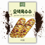 오색 옥수수씨앗 100립 얼룩이 찰 옥수수 씨 종자 : 씨앗팜