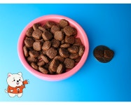 NEW AATU 아투 독 오리 강아지사료1.5kg : 집사펫샵