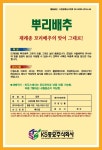 뿌리배추 씨앗 2000립 국내산 종자 : 씨앗팜
