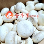 [송가네] 국산 양송이버섯 파지 못난이 2kg : 송가네 버섯마을