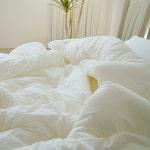 100수 소프트니스 고밀도면 알러지케어 침구 간절기 가을 이불 웜 화이트, Q(퀸) : 오가니크라프트