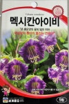 멕시칸아이비 씨앗 5립 세계종묘 종자 모종 씨 꽃씨 일반종 코베아 : 슬기로운농약사