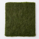 [프레쉬나우] 서산 가로림만 구운 조미 감태 생감태 건조생감태 완도 미역 : 프레쉬나우