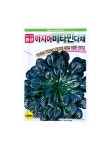 아시아 비타민 씨앗 다채 4000립 / 비타민채 엽채류 쌈채소 : 농사로스토어