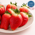 못난이 딸기 잼용 쨈용 쥬스용 주스용 파지 논산 설향 딸기 킹스베리 2kg 1kg 350g : 우리바다농수산