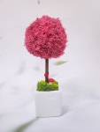 공기정화 식물 스칸디아모스 원예수업 단체수업 토피어리 만들기 키트 diy : atelier-sooop