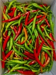 국산 청양고추 300g 청량고추 땡초 고추 반홍 : 신선한삼촌
