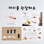 소하랑 개미를 관찰해요 환경구성 어린이집 유치원 도안 : 소하랑 스토어