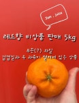 서귀포 레드향(잼,주스용) 5kg (GAP 농산물) : 민우네농장-평범한사람