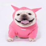 봄가을 스타일 스웨트셔츠 캐주얼 정상 사이즈 : 웅스스토어-