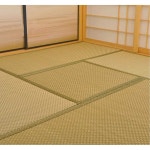 MOA 일본다다미방 매트 접이식 여름 일본식 바닥 3cm 밀도의 정사각형 친환경 코코넛 야자나무 : MOA MORE