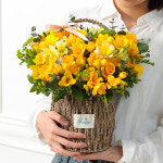 봄의왈츠 당일배송 후리지아 프리지아 꽃바구니 생일 기념일 여자친구 꽃선물 꽃배달 : 라임플라워