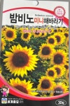 밤비노 미니해바라기 씨앗 30립 세계종묘 종자 모종 씨 꽃씨 해바라기 절화용 관상용 야생화 : 슬기로운농약사