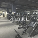 [머슬피플피트니스] PT 1:1 10회 : 머슬피플 청라점