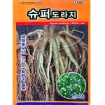 슈퍼도라지씨앗 1000립 수퍼도라지 제일종묘 : 삼대씨앗