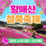 와우부산여행사[부산출발] 황매산철쭉 당일투어 버스여행 : 와우부산여행사